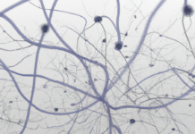 How to train chatbot or natural language processing (NLP) model?